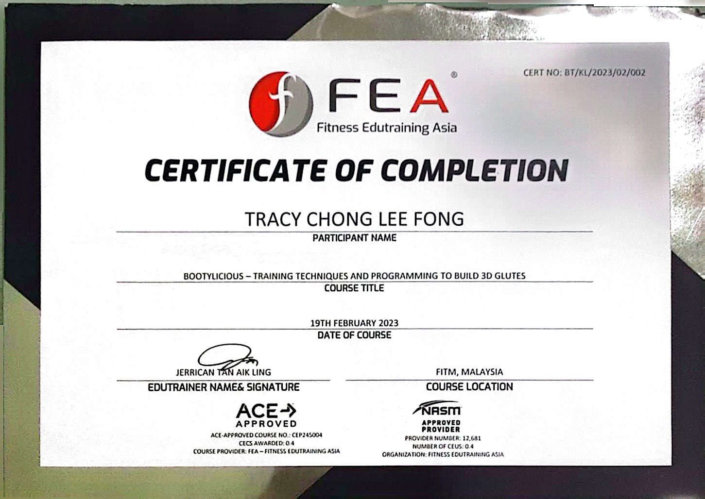 FEA-glutes Techniques and programming  臀腿训练技巧课程2023